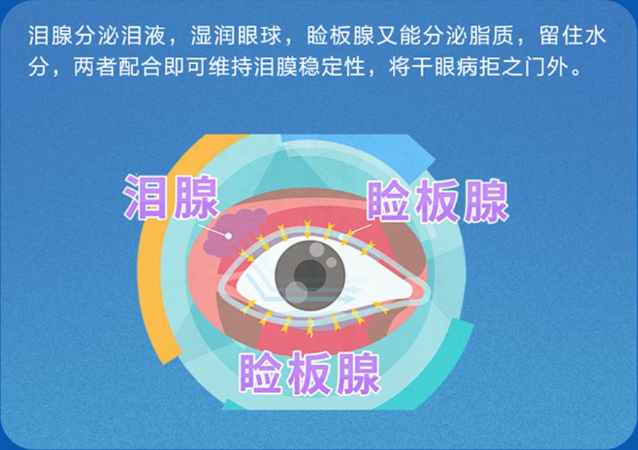 圖片.png 圖片.png