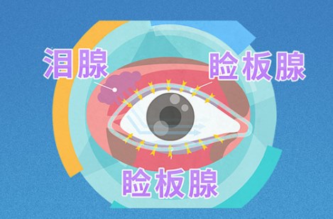 圖片.png 圖片.png